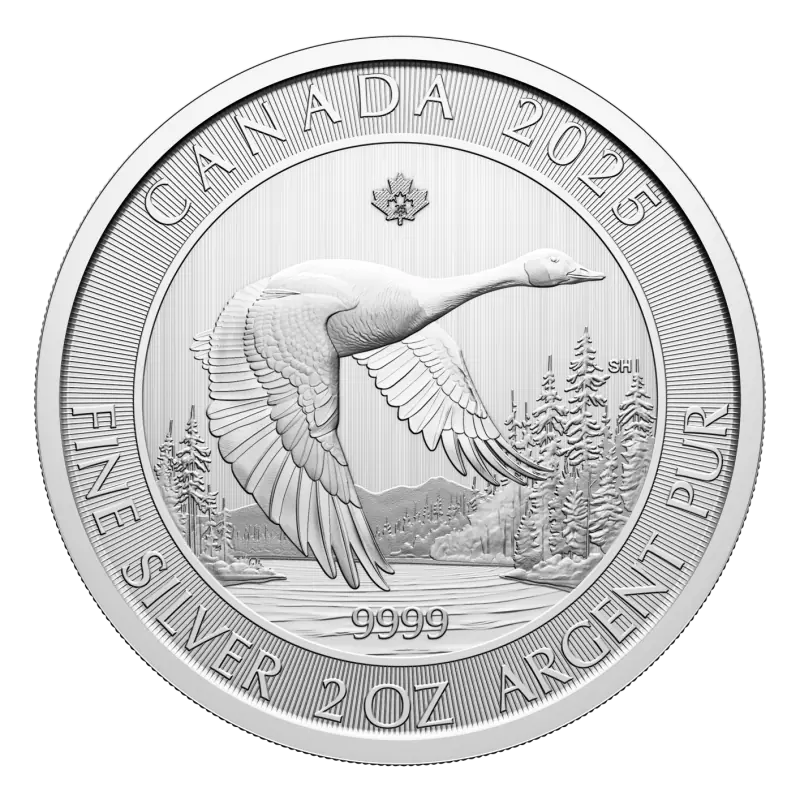 2 oz Canada Goose d'argento | 2025